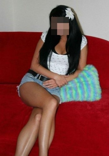 Segmenler Escort Notlarim