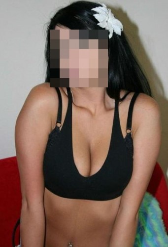 Ankara Escort Araştırma